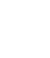 ?php the_sub_field('box_headline'); ?>